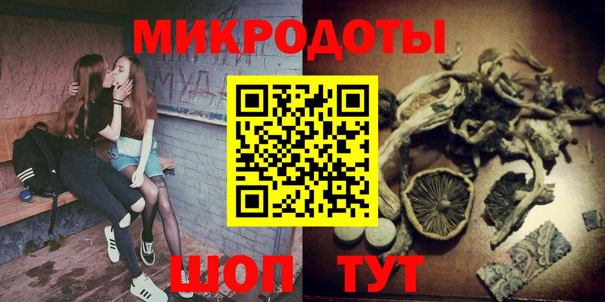 Галлюциногенные грибы MAGIC MUSHROOMS  Псилоцибиновые грибы Psilocybe  Вход с VPN  Зима 